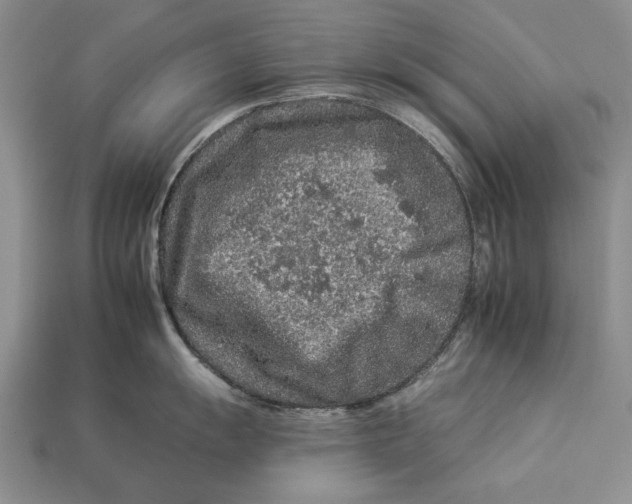 X0000112931055200909211110