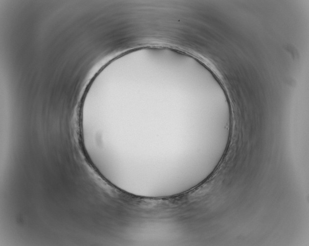 X0000112931056200909211110