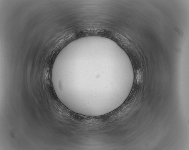 X0000112931059200909211109