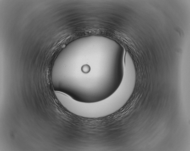 X0000112931060200909211109