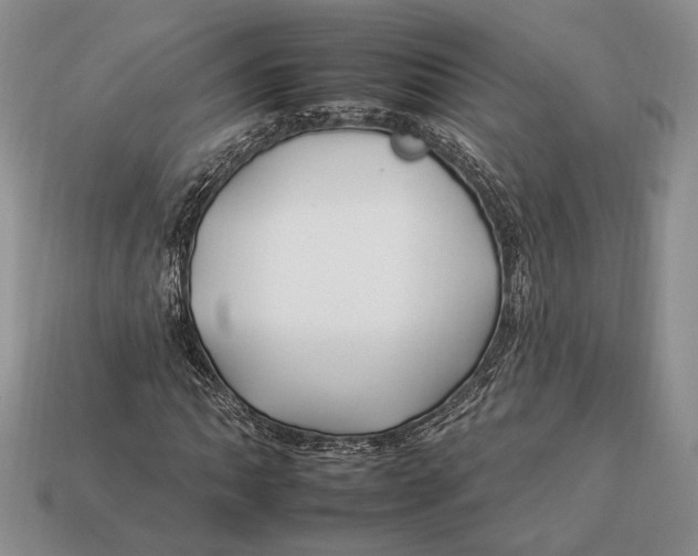 X0000112931062200909211109
