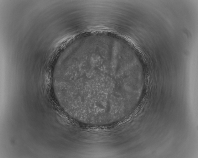 X0000112931063200909211109