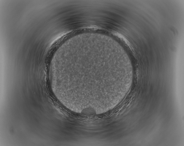 X0000112931064200909211109