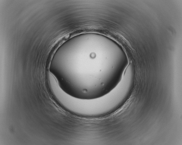 X0000112931065200909211109