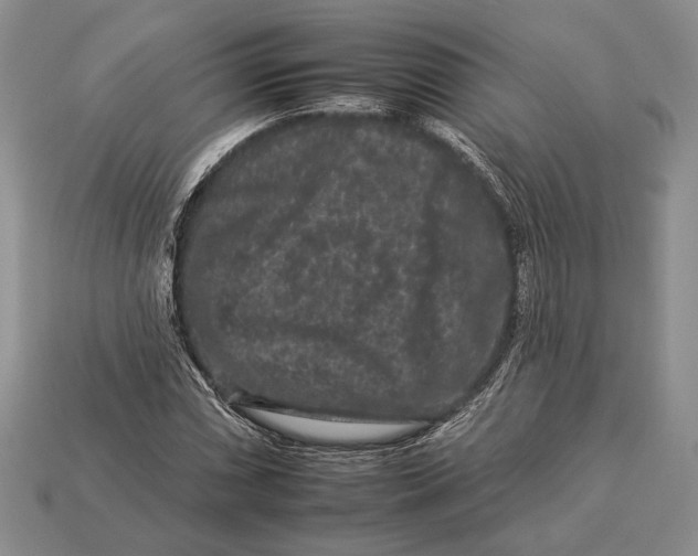 X0000112931066200909211109