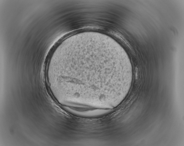 X0000112931068200909211109