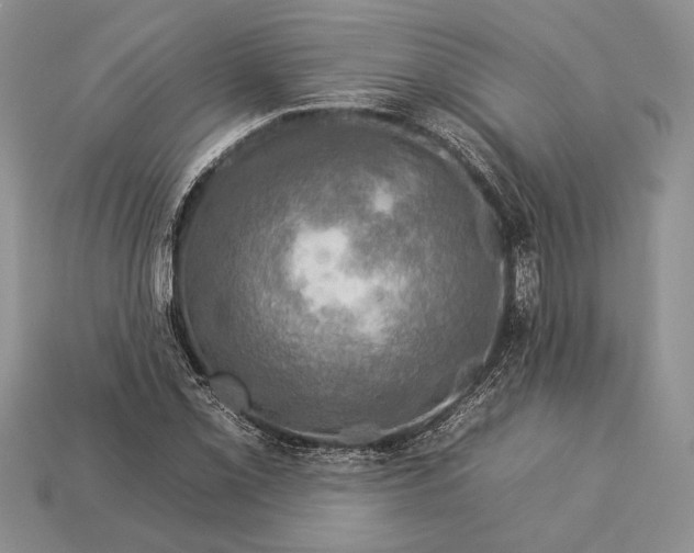 X0000112931069200909211109
