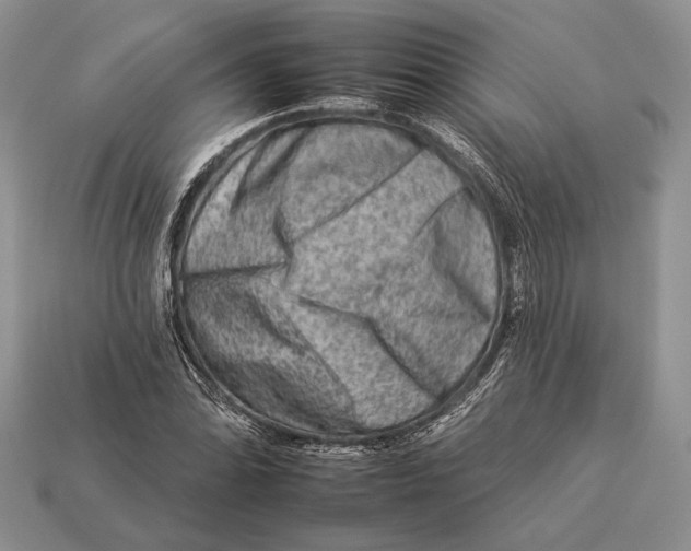 X0000112931070200909211109