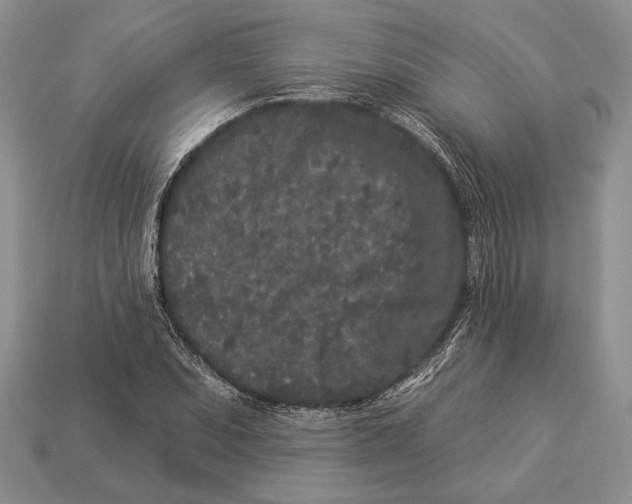 X0000112931071200909211109