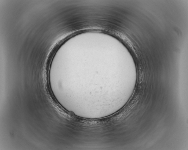X0000112931072200909211109