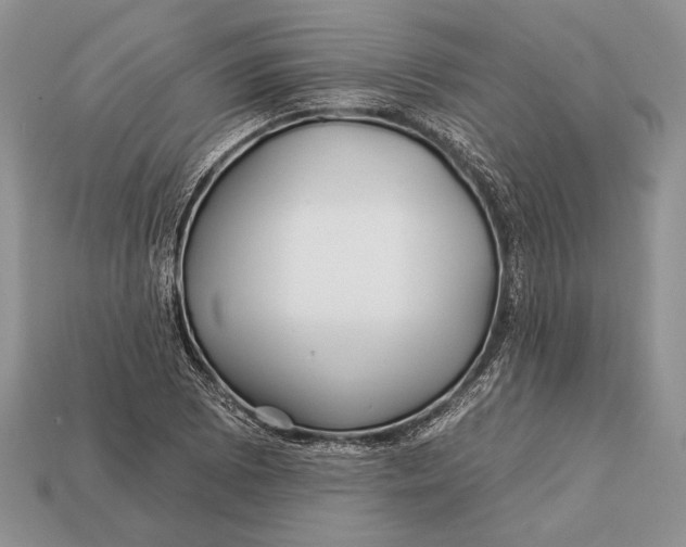 X0000112931073200909211109
