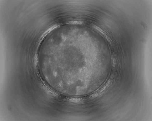 X0000112931074200909211109