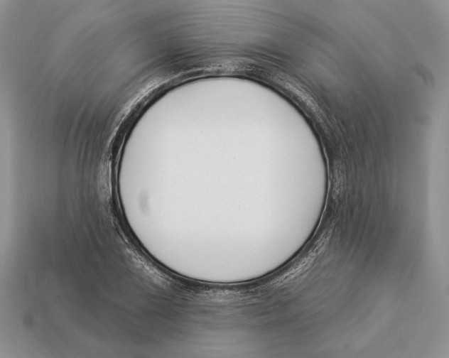 X0000112931075200909211109