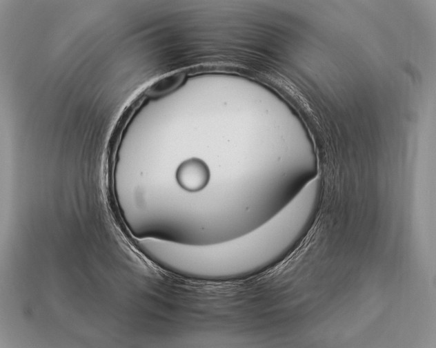 X0000112931076200909211109