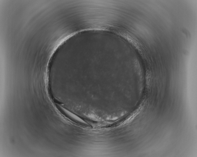 X0000112931077200909211109