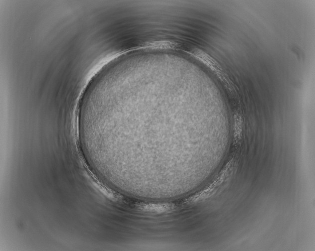 X0000112931078200909211109