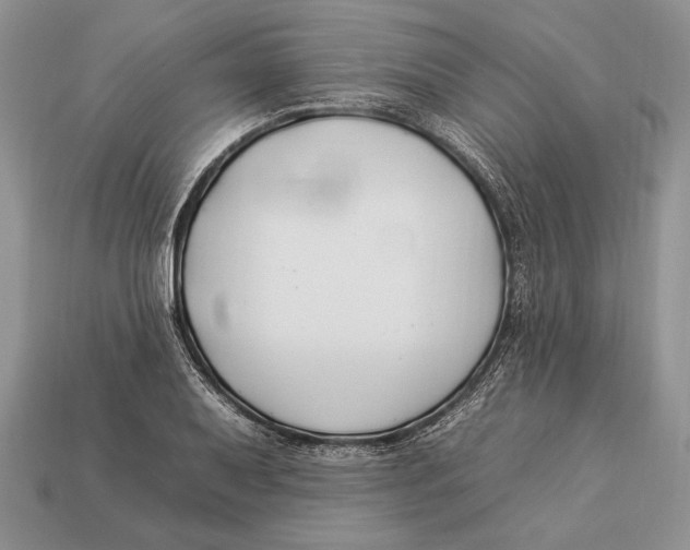 X0000112931079200909211109
