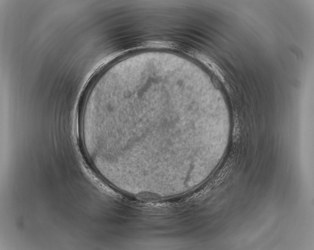 X0000112931080200909211109