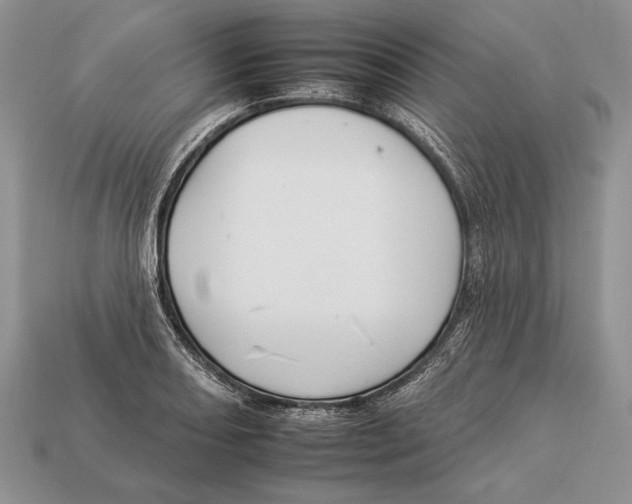 X0000112931082200909211109