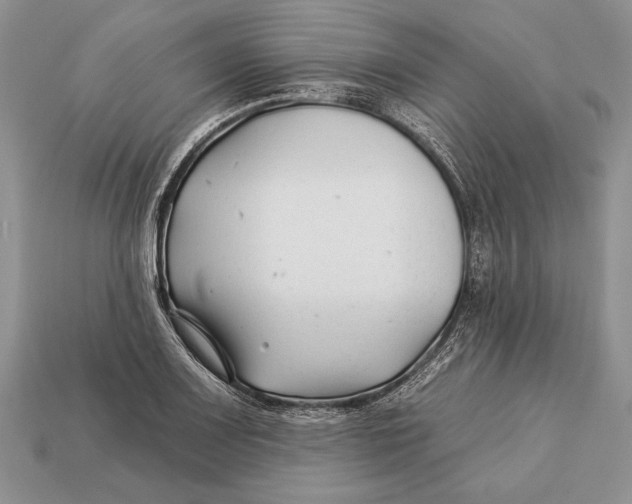 X0000112931083200909211109