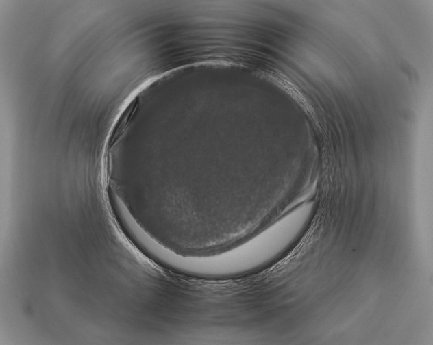 X0000112931084200909211109