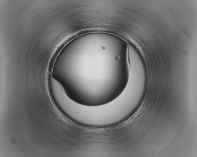 X0000112931085200909211109