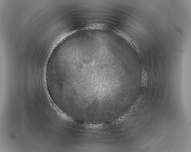 X0000112931086200909211109