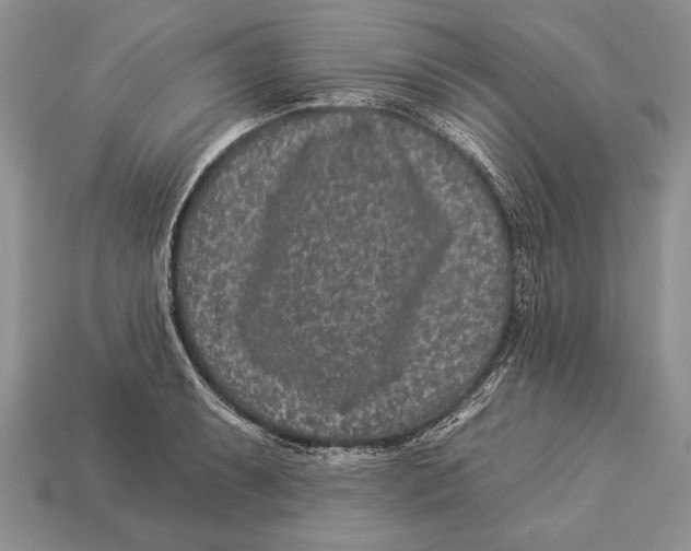 X0000112931087200909211109