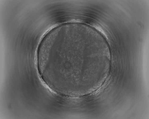 X0000112931088200909211109