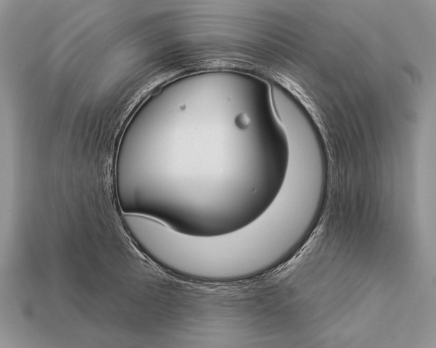 X0000112931089200909211109