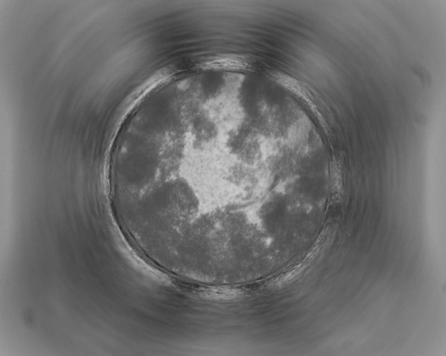 X0000112931090200909211108