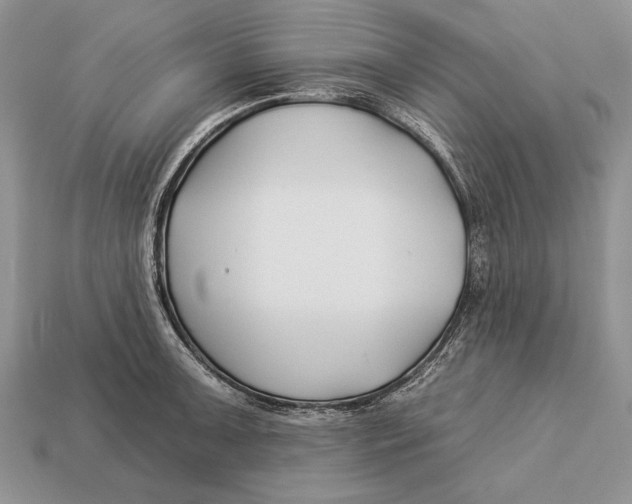 X0000112931091200909211108