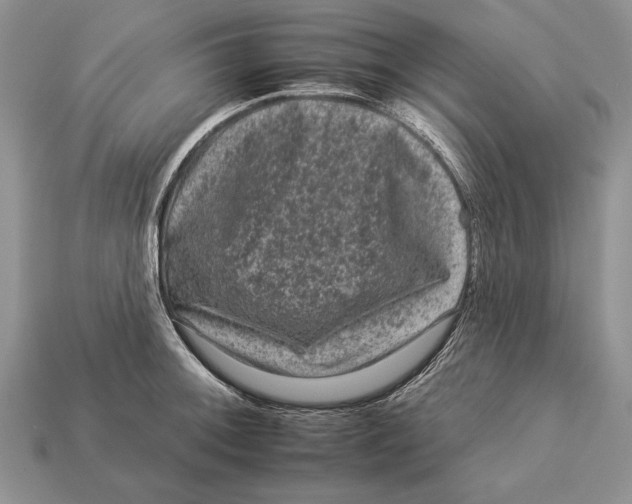 X0000112931092200909211108