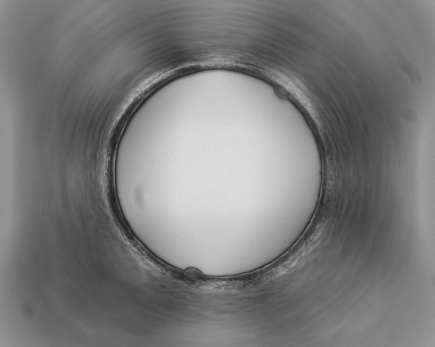 X0000112931093200909211108