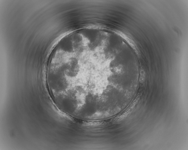 X0000112931094200909211108