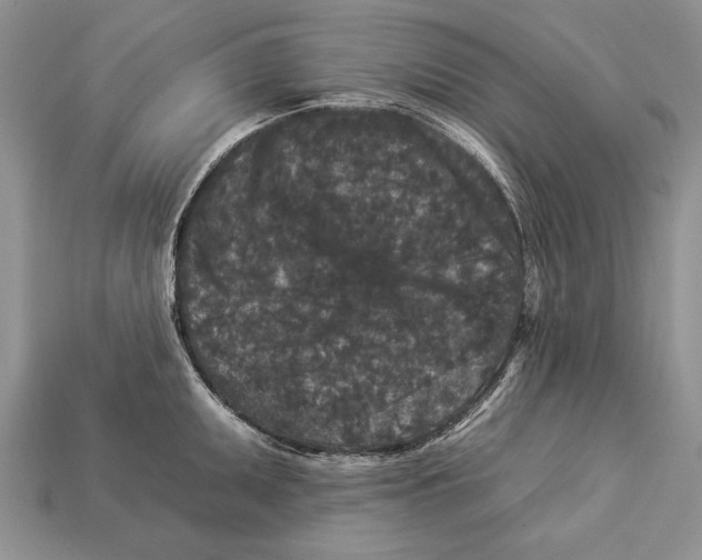 X0000112931095200909211108
