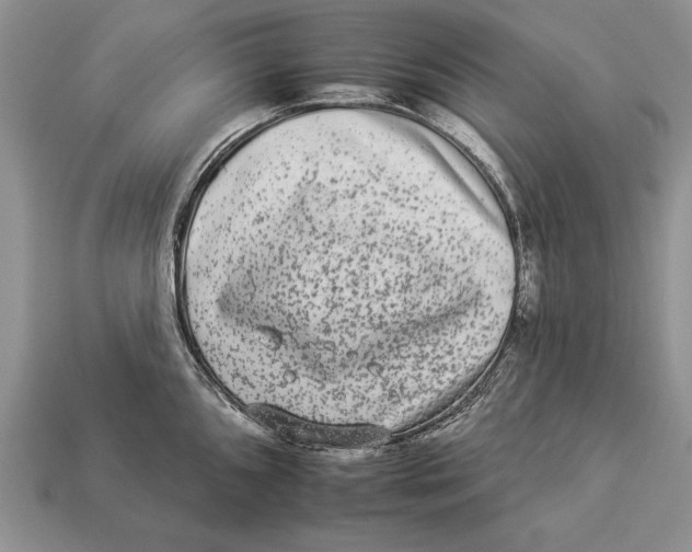 X0000112931096200909211108