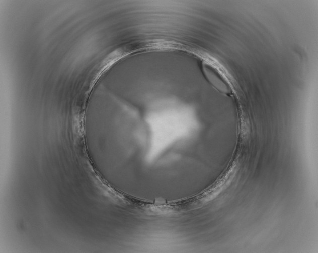 X0000112931097200909211108