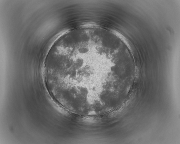 X0000112931098200909211108