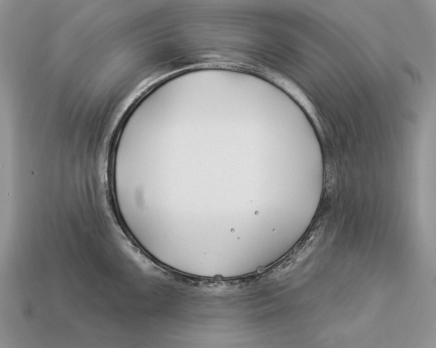 X0000112931099200909211108
