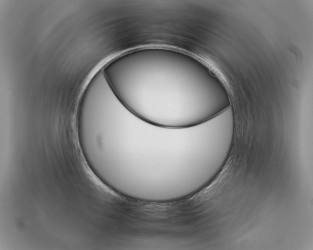 X0000112931100200909211108