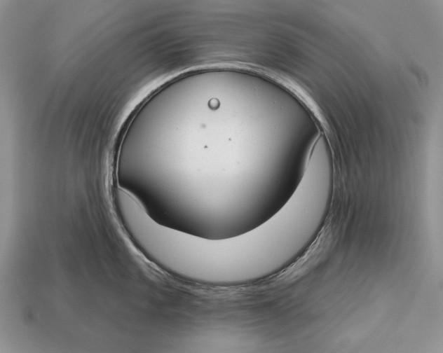 X0000112931101200909211108
