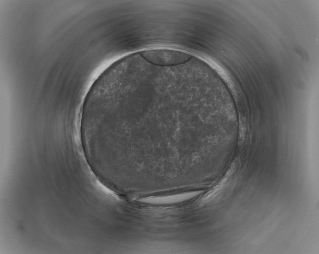 X0000112931102200909211108