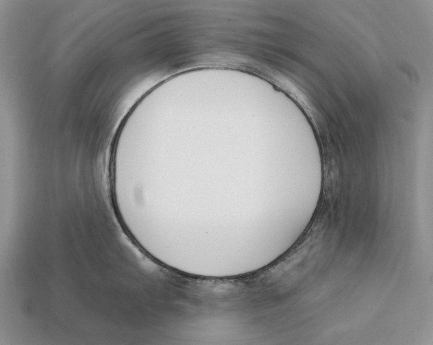 X0000112931103200909211108