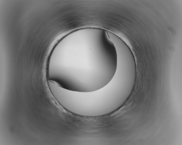 X0000112931104200909211108