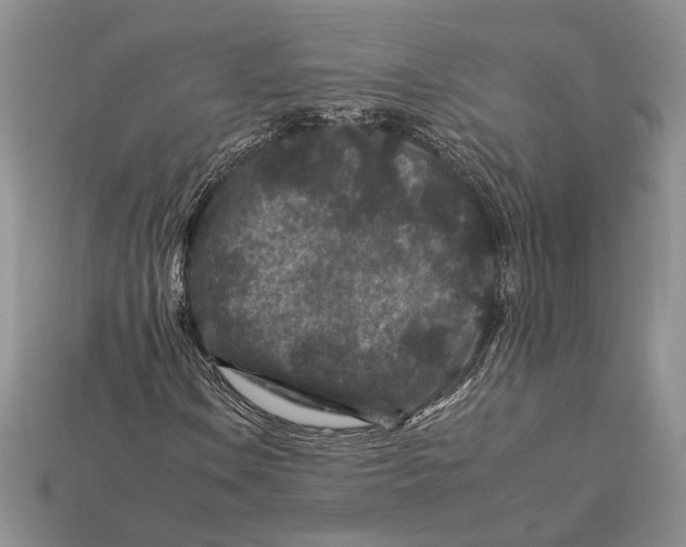 X0000112931106200909211108