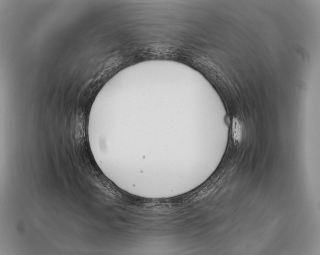 X0000112931107200909211108