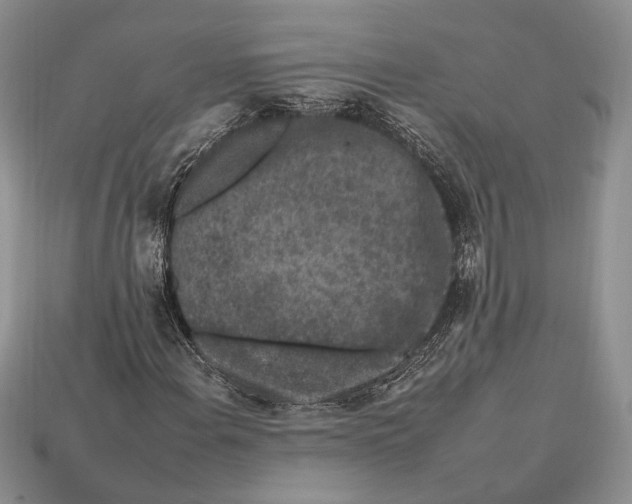 X0000112931108200909211108