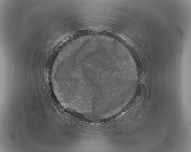 X0000112931110200909211108