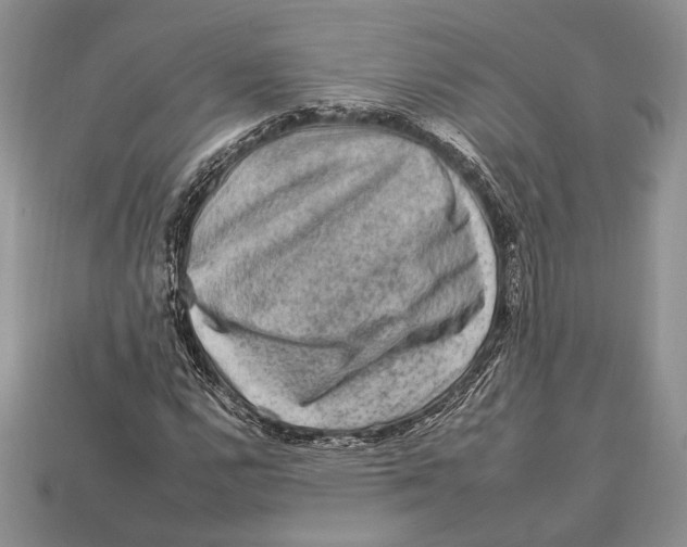 X0000112931112200909211108